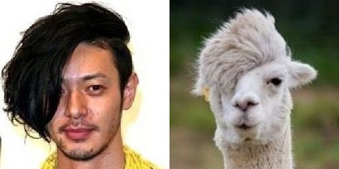 有名人を物や動物に例えてみたら？