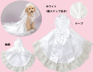 【閲覧注意】男性の局部用ドレスが「楽天」で売られているぞww