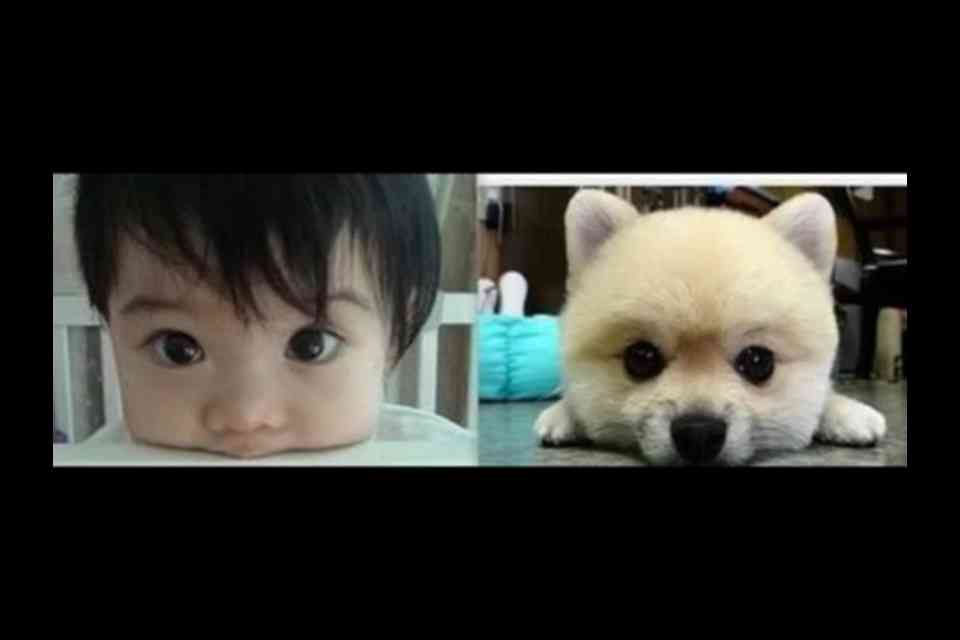 かわいい写真をはっていきましょー!