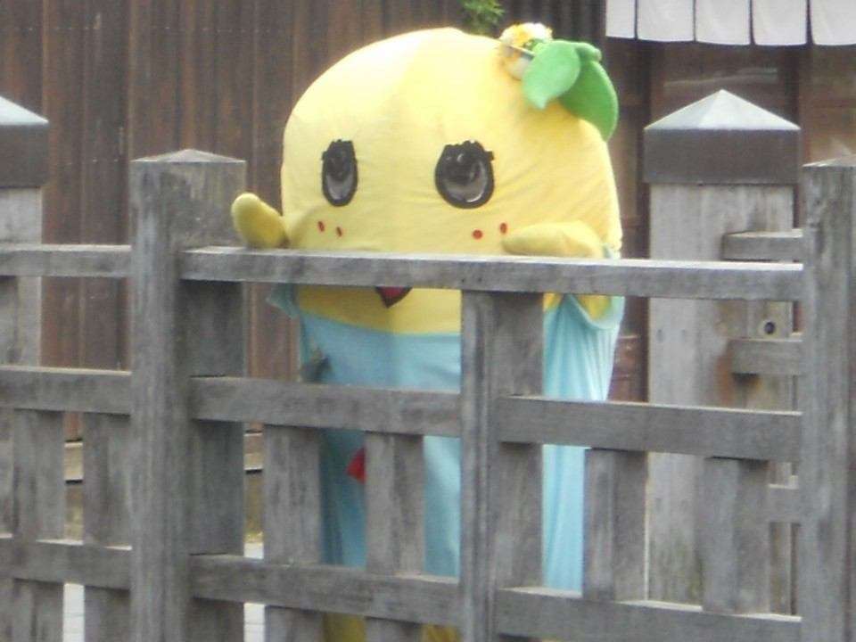かわいい写真をはっていきましょー!