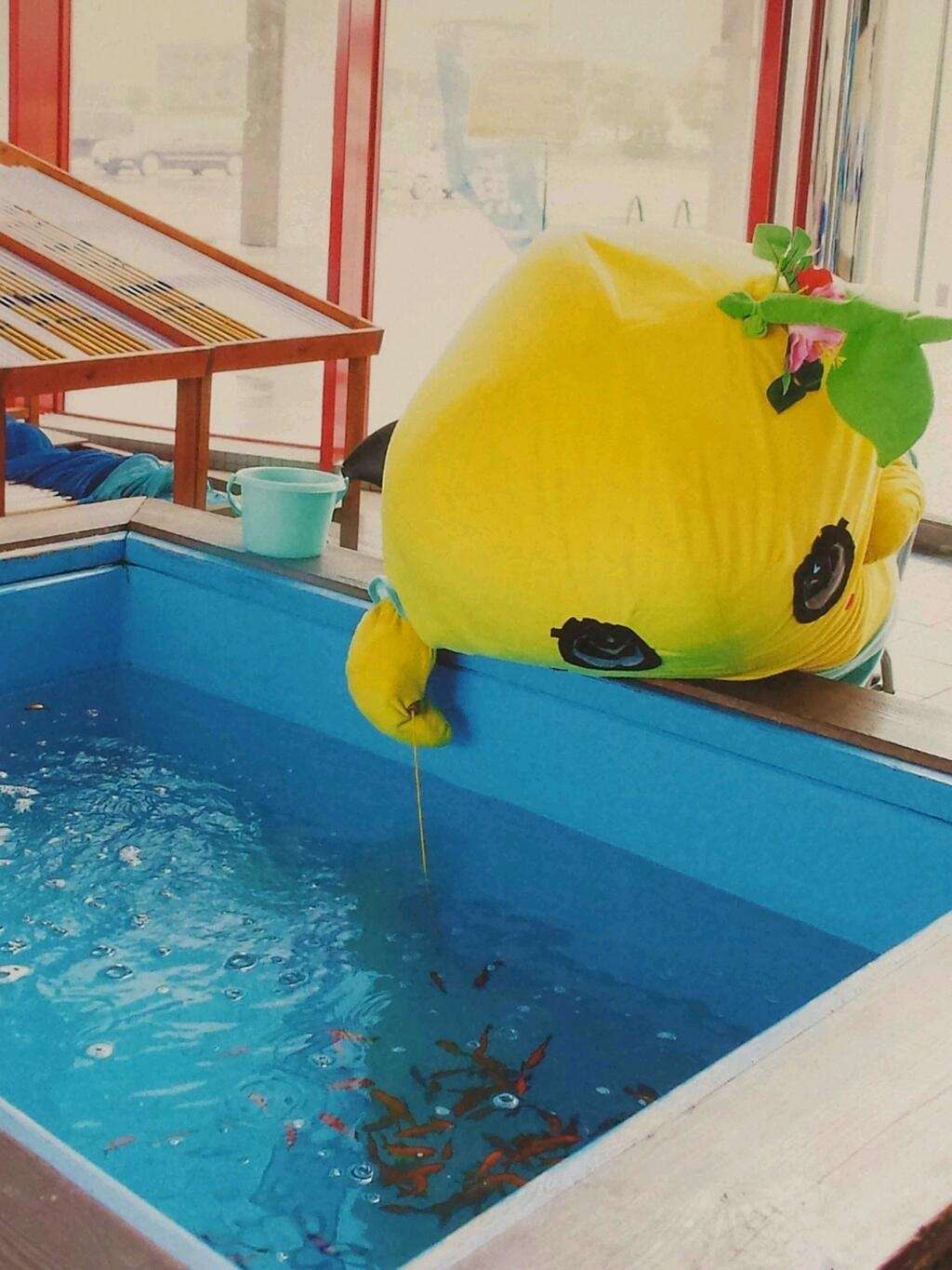 かわいい写真をはっていきましょー!