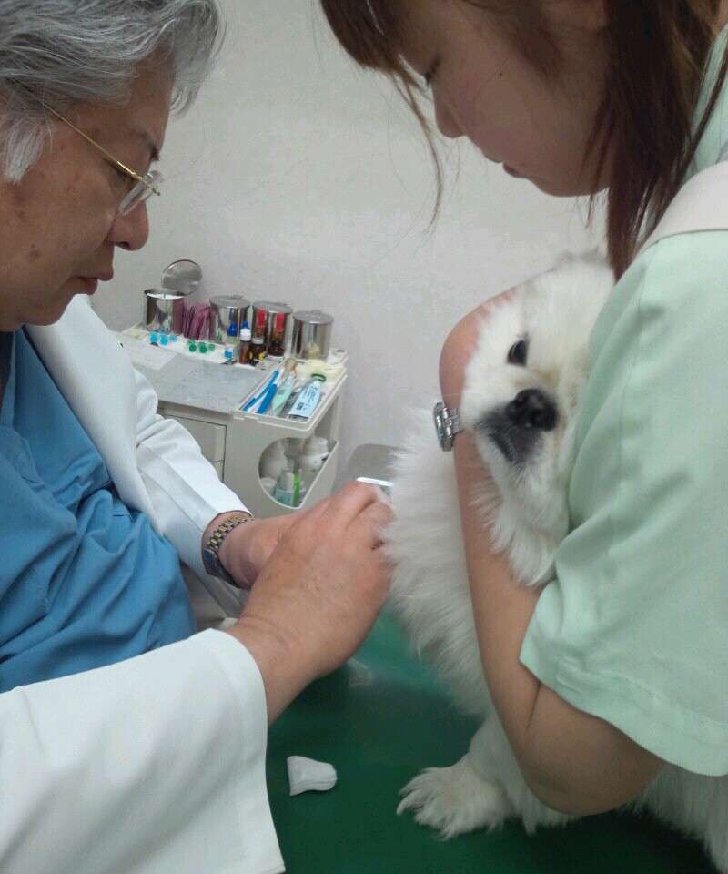 かわいい写真をはっていきましょー!