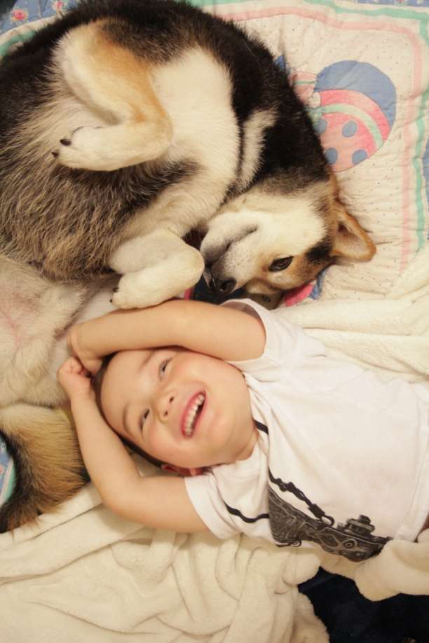 かわいい写真をはっていきましょー!