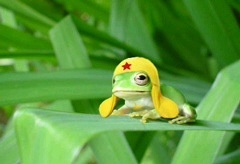 かわいい写真をはっていきましょー!