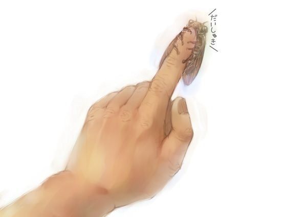 かわいい写真をはっていきましょー!