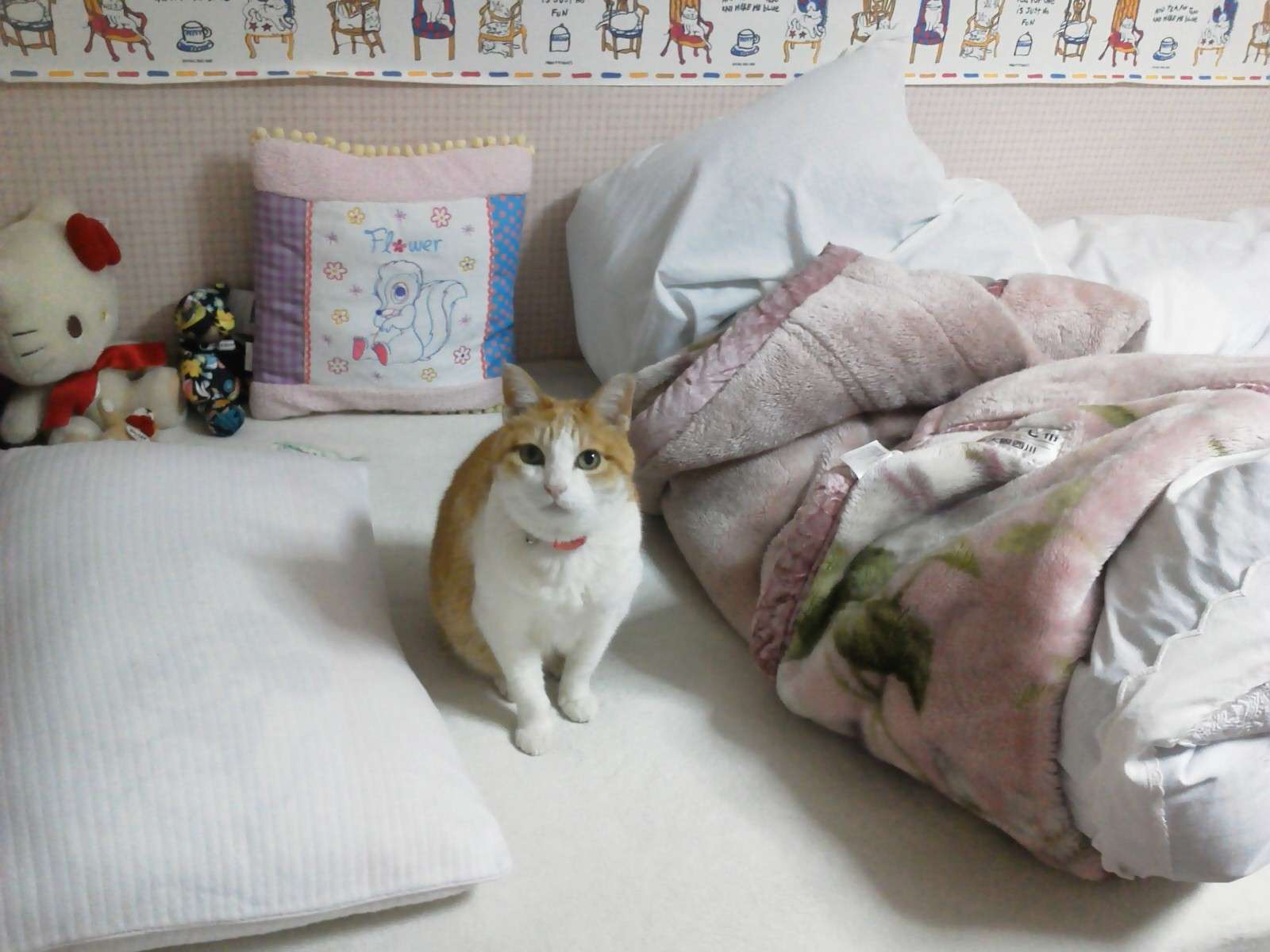 かわいい写真をはっていきましょー!