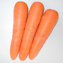 全然好きじゃないけど健康の為に食べてるもの。