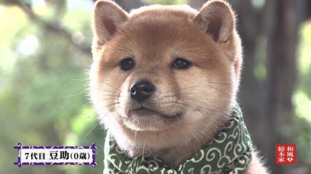 名脇役といえば誰だと思いますか?