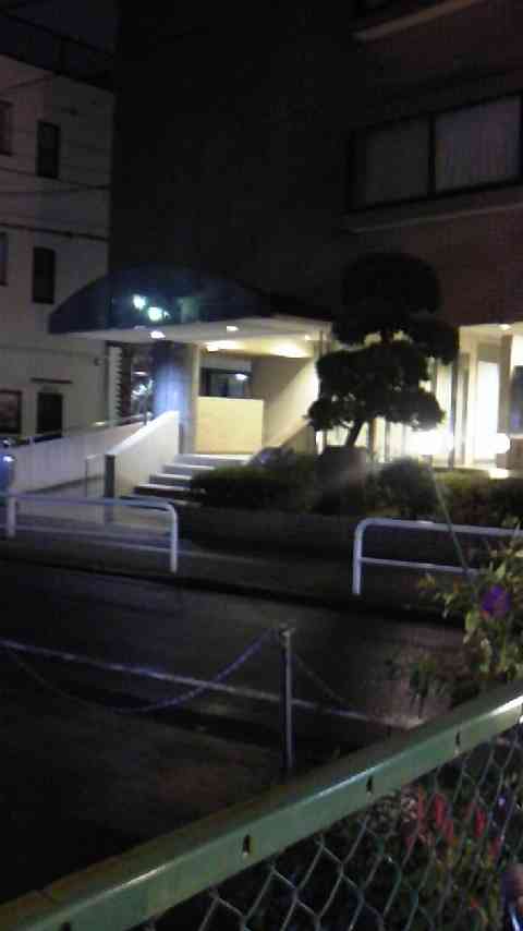 募金詐欺疑惑の齋藤ヤスカ、株式会社社長を詐称し登記すらしていなかったことが発覚！会社法違反で警察沙汰へ