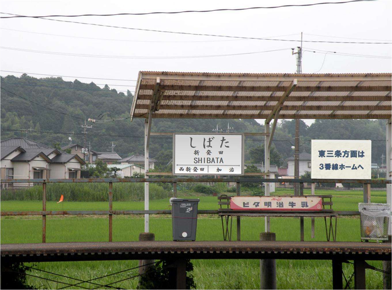 「月曜から夜ふかし」での新潟県民問題w
