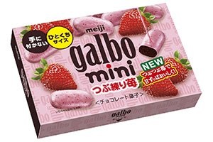 あなたの好きなお菓子No.1は？