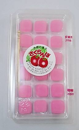 遠足のおやつ、何を買ってましたか？(*^^*)