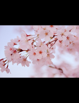 祖父母との思い出、ありますか？