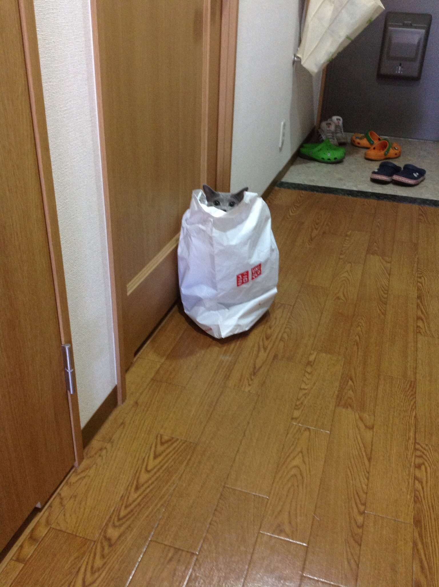 良い組合せ、コラボありますか?