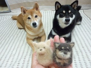 シベリアンハスキーの抜け毛で作った人形が本物そっくりwww