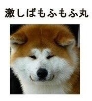 電車の中のベビーカー大論争「迷惑だ！」VS「もっと暖かく見守って」「こっちは弱者」