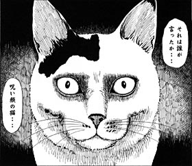 好きな動物マンガはなんですか?