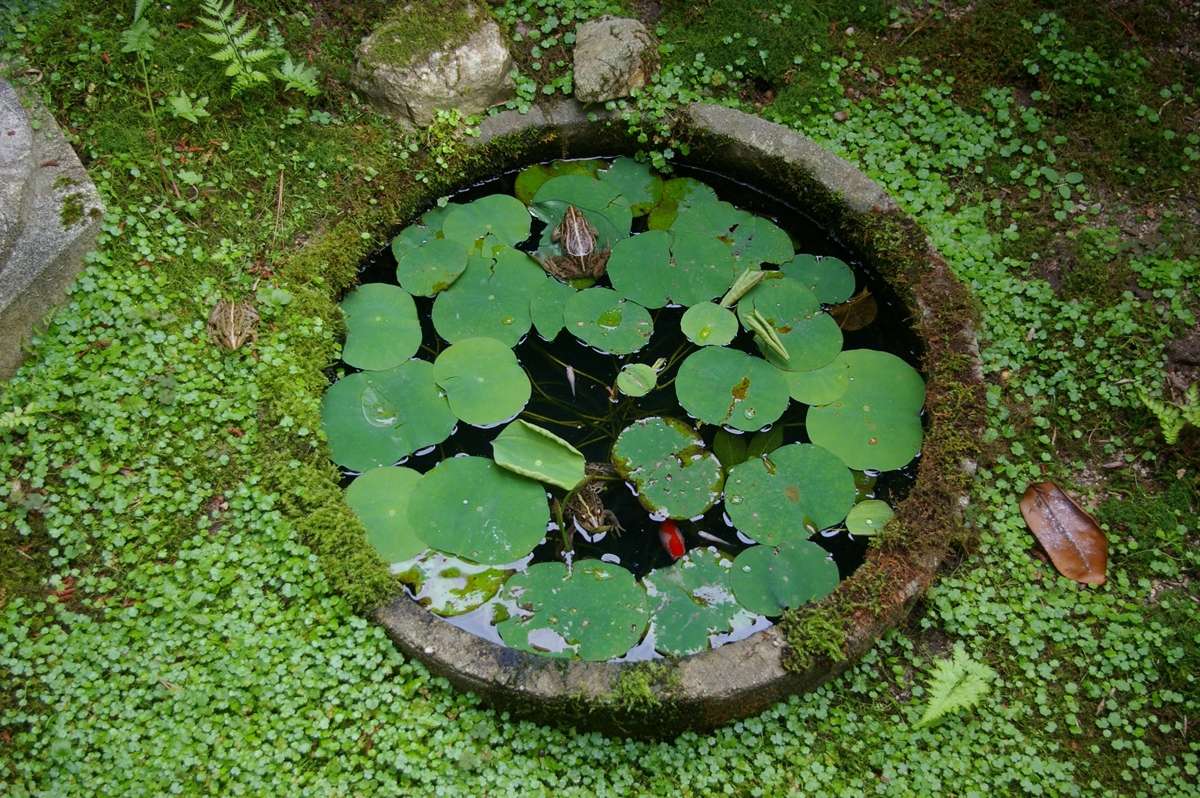 【画像】素敵な景色を堪能しましょう!