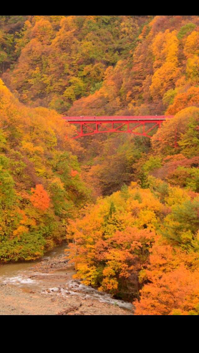 【画像】素敵な景色を堪能しましょう!