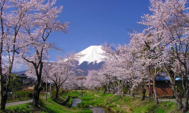 【画像】素敵な景色を堪能しましょう!