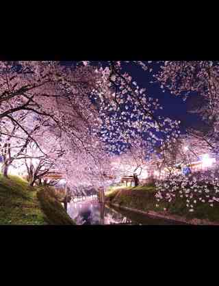 【画像】素敵な景色を堪能しましょう!