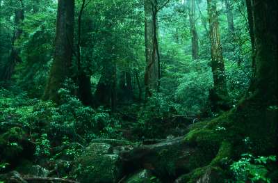 【画像】素敵な景色を堪能しましょう!