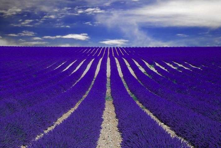 【画像】素敵な景色を堪能しましょう!