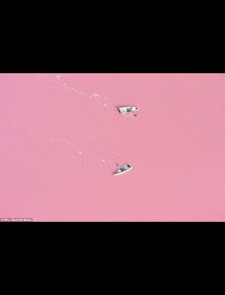 【画像】素敵な景色を堪能しましょう!