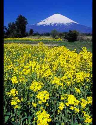 【画像】素敵な景色を堪能しましょう!