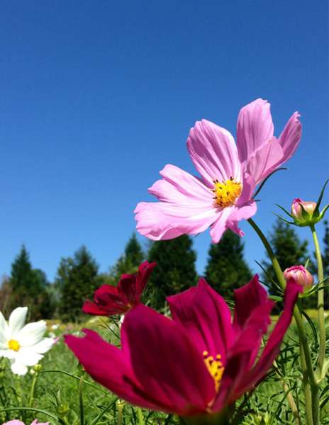 【画像】素敵な景色を堪能しましょう!