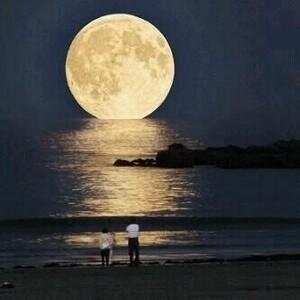 【画像】素敵な景色を堪能しましょう!