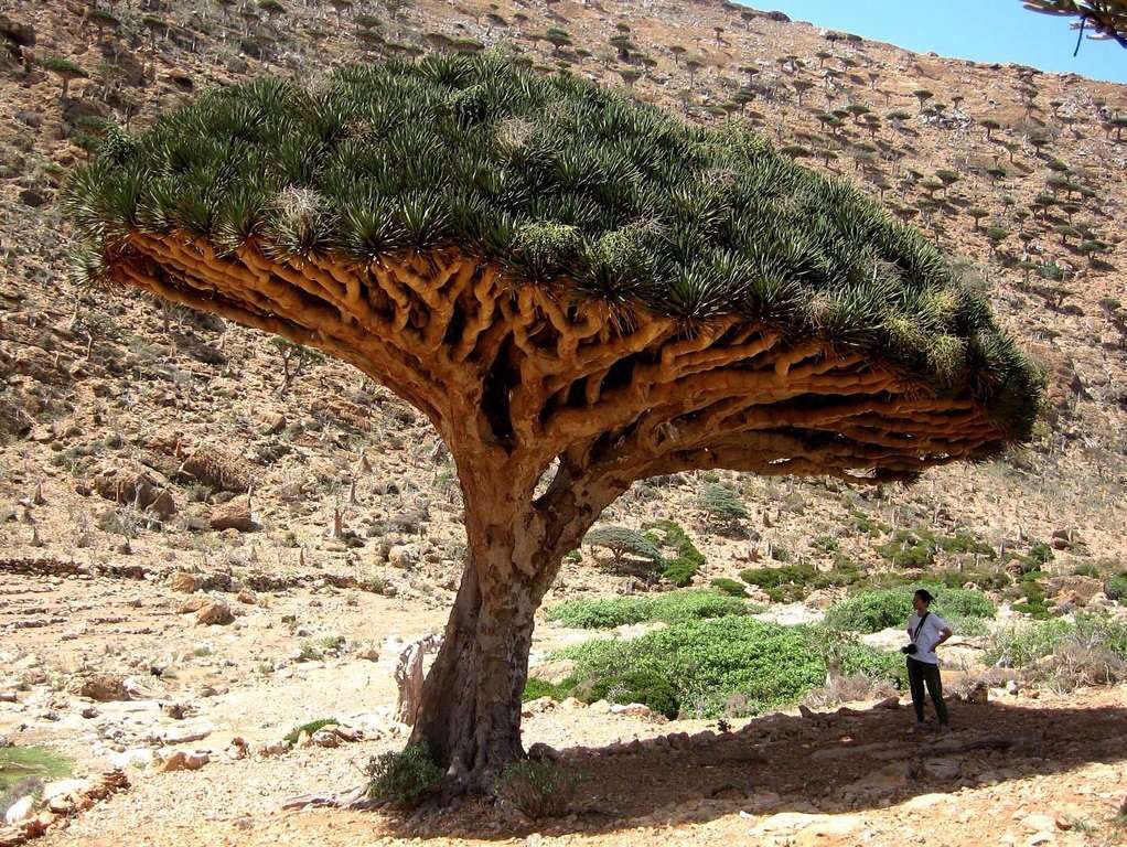 【画像】素敵な景色を堪能しましょう!