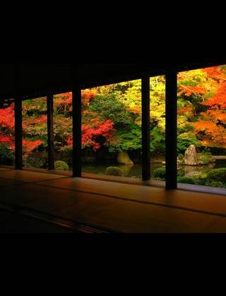 【画像】素敵な景色を堪能しましょう!