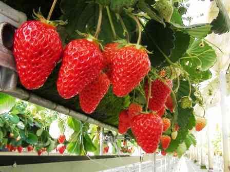 【画像】素敵な景色を堪能しましょう!