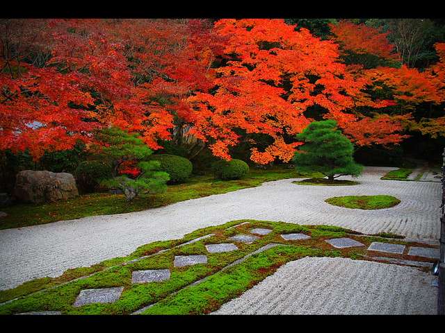 【画像】素敵な景色を堪能しましょう!