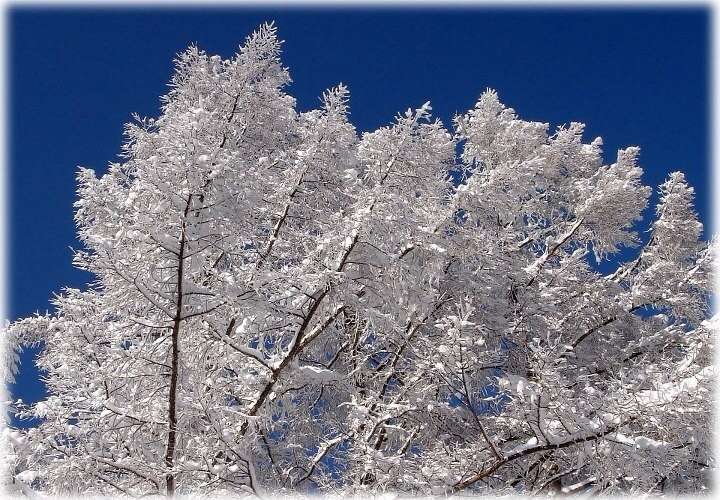 【画像】素敵な景色を堪能しましょう!