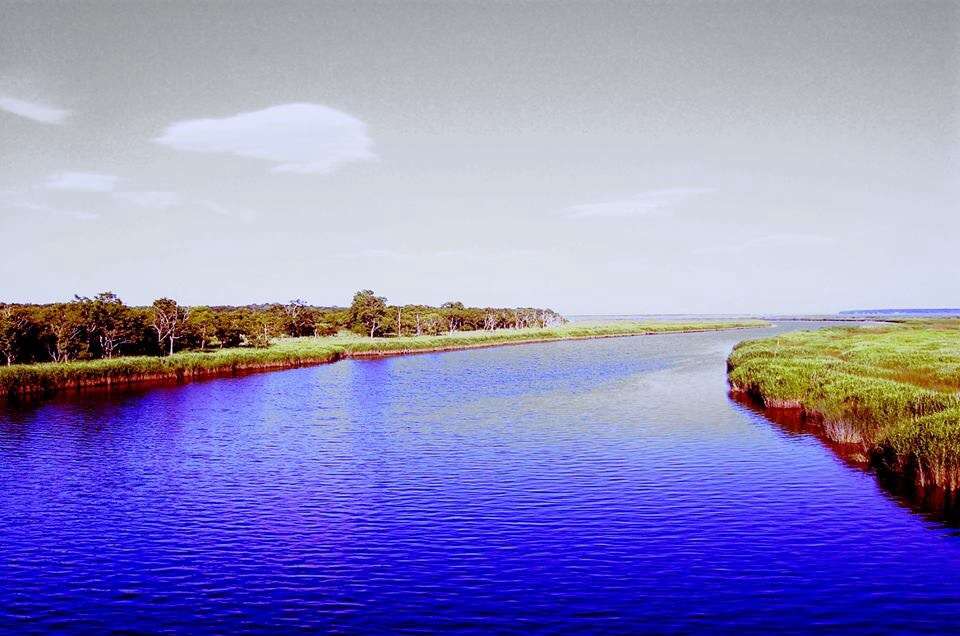 【画像】素敵な景色を堪能しましょう!