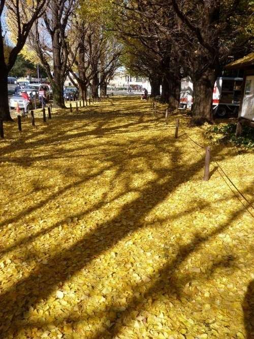 【画像】素敵な景色を堪能しましょう!