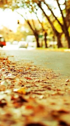 【画像】素敵な景色を堪能しましょう!