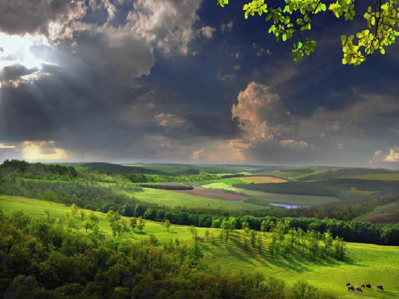 【画像】素敵な景色を堪能しましょう!