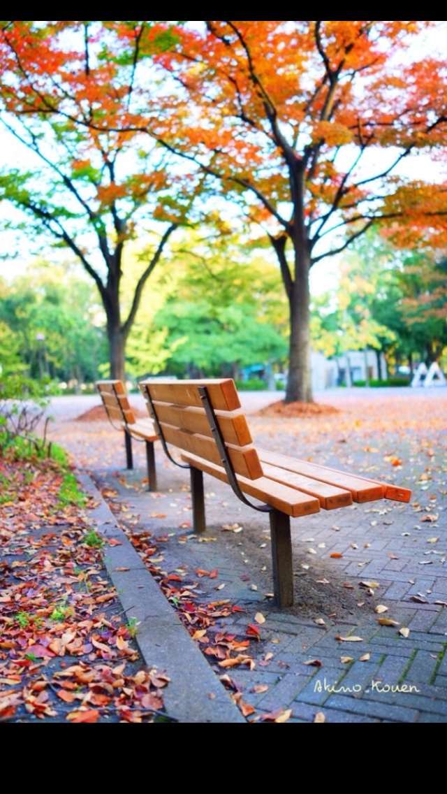 【画像】素敵な景色を堪能しましょう!