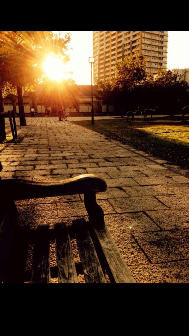 【画像】素敵な景色を堪能しましょう!