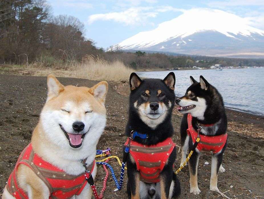 【画像】素敵な景色を堪能しましょう!