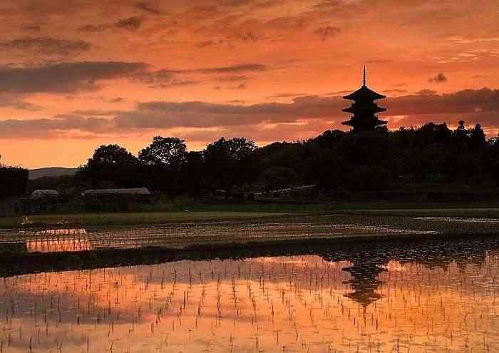 【画像】素敵な景色を堪能しましょう!