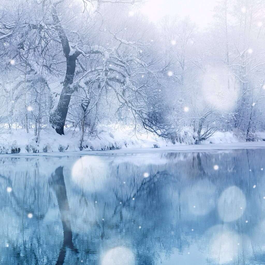 【画像】素敵な景色を堪能しましょう!