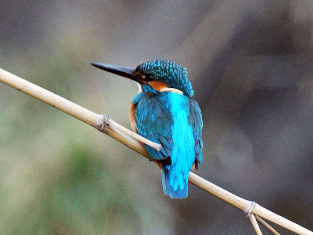 【画像】素敵な景色を堪能しましょう!