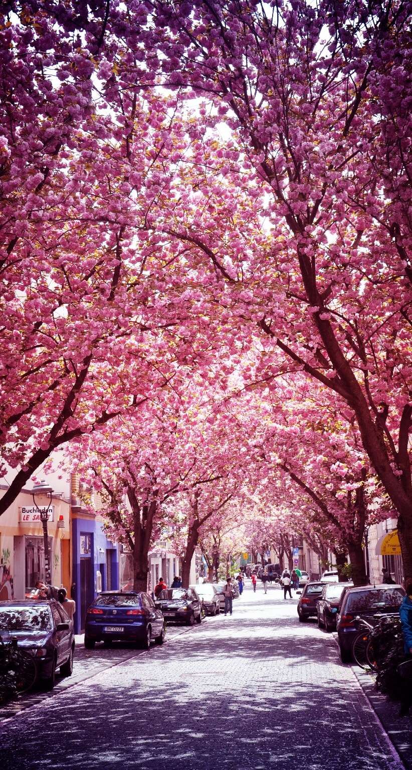 【画像】素敵な景色を堪能しましょう!