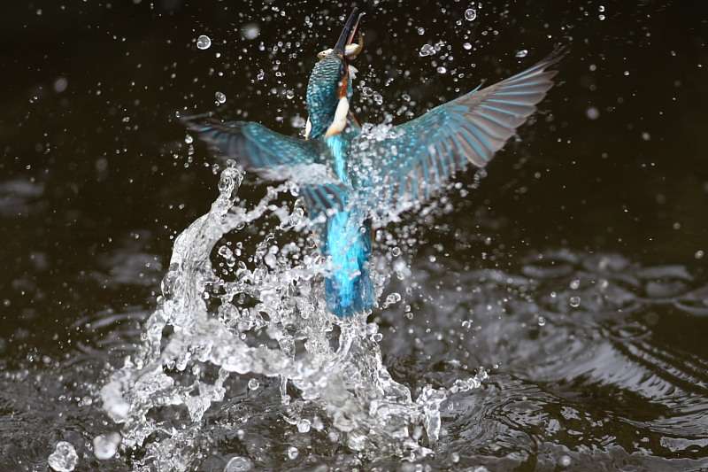 【画像】素敵な景色を堪能しましょう!