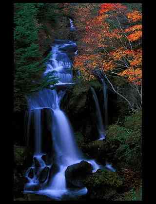 【画像】素敵な景色を堪能しましょう!