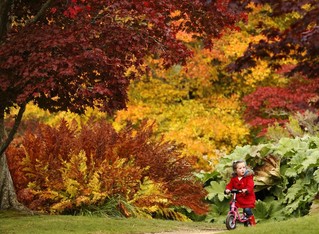 【画像】素敵な景色を堪能しましょう!